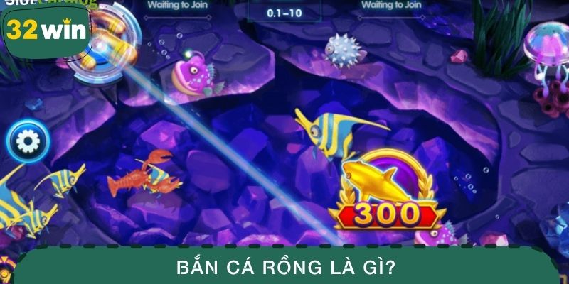 Bắn cá rồng là gì?