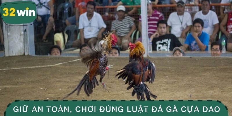 Giữ an toàn, chơi đúng luật đá gà cựa dao