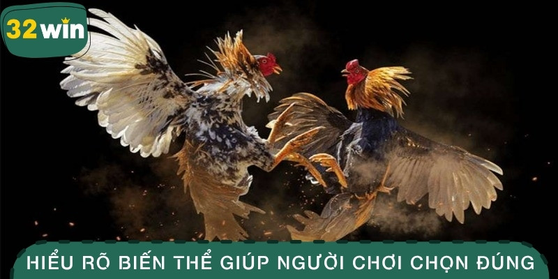 Hiểu rõ biến thể giúp người chơi chọn đúng
