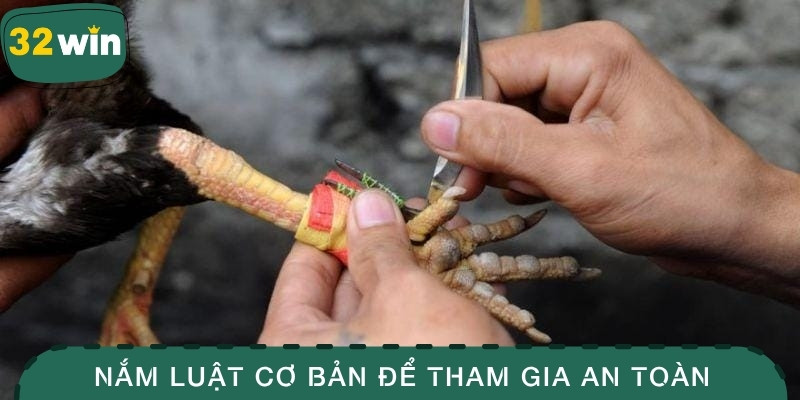 Nắm luật cơ bản để tham gia an toàn