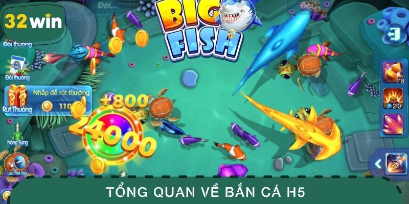Tổng quan về bắn cá H5